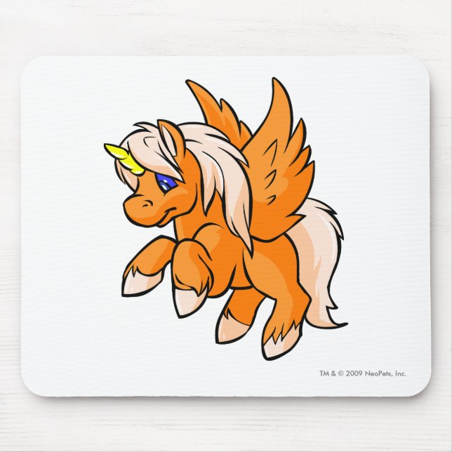 Uni orange musmatta (Framsidan)