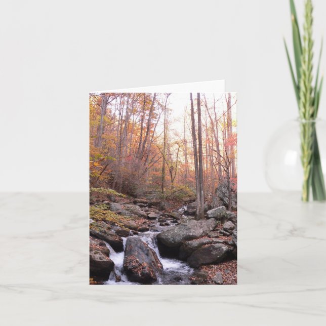 Unicoi delstatspark Notecard Kort (Framsida)