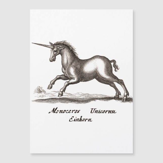 Unicorn Classic Running Magic Woodland Creature (Framsida)