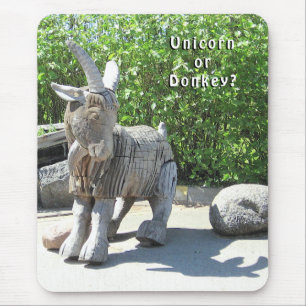 Unicorn eller Donkey? Palanga, LITAUEN - Musmatta