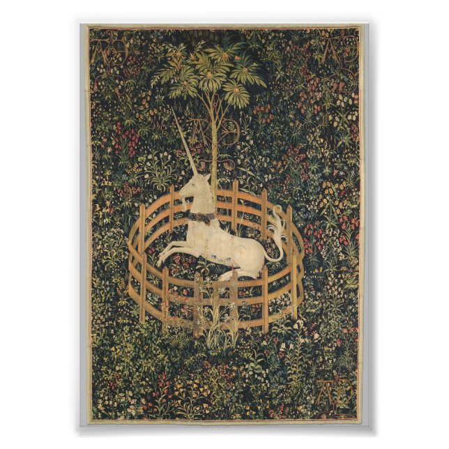 Unicorn i fångenskap fototryck (Framsidan)