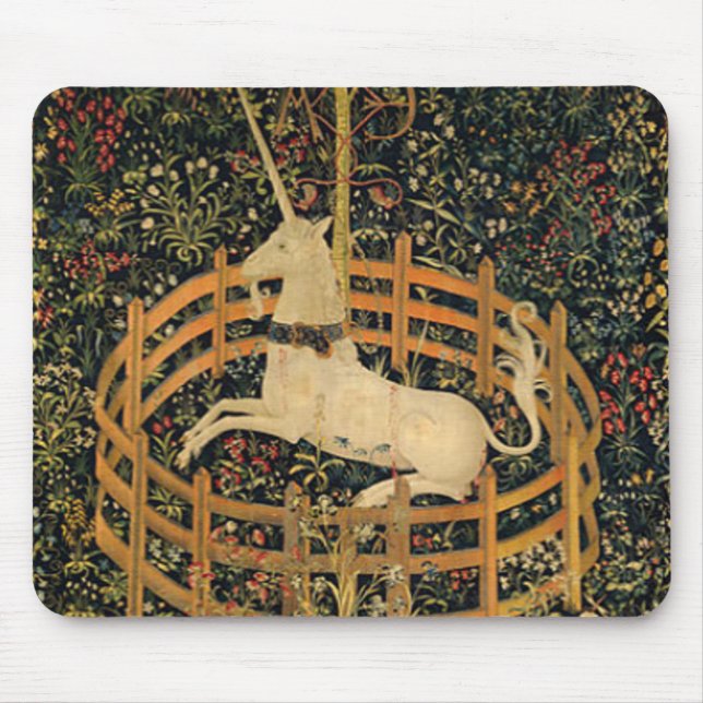 Unicorn in Captivity Original Musmatta (Framsidan)