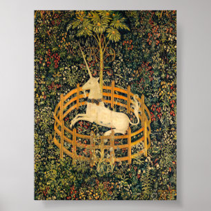 Unicorn in Captivity Poster