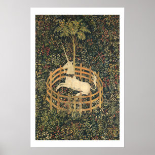 Unicorn in Captivity Poster