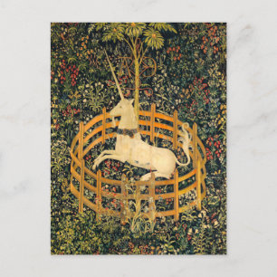 Unicorn in Captivity Vykort