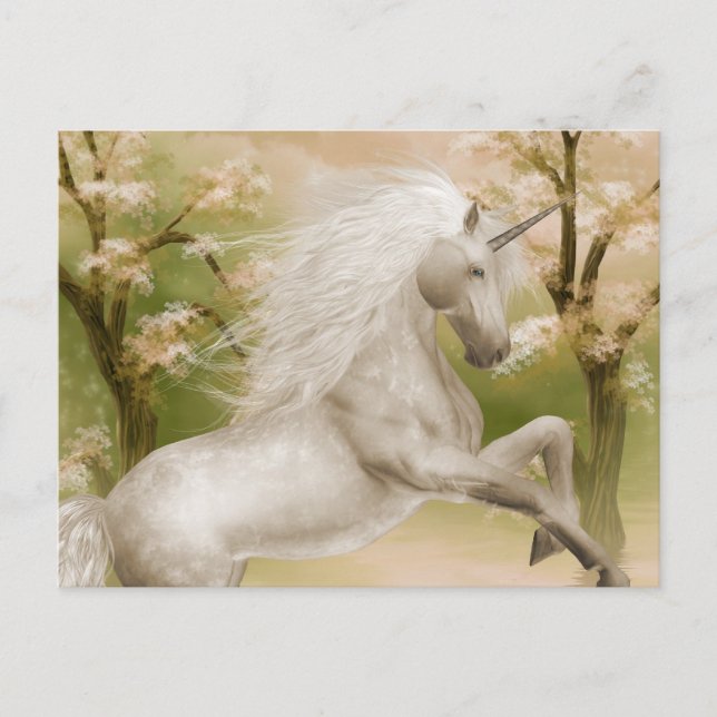 Unicorn Magic Beauty-vykort Vykort (Framsida)