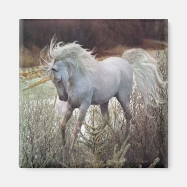 Unicorn Magnet (Framsidan)