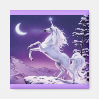 Unicorn Magnet