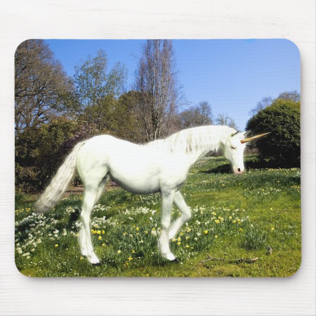 Unicorn Musmatta (Framsidan)