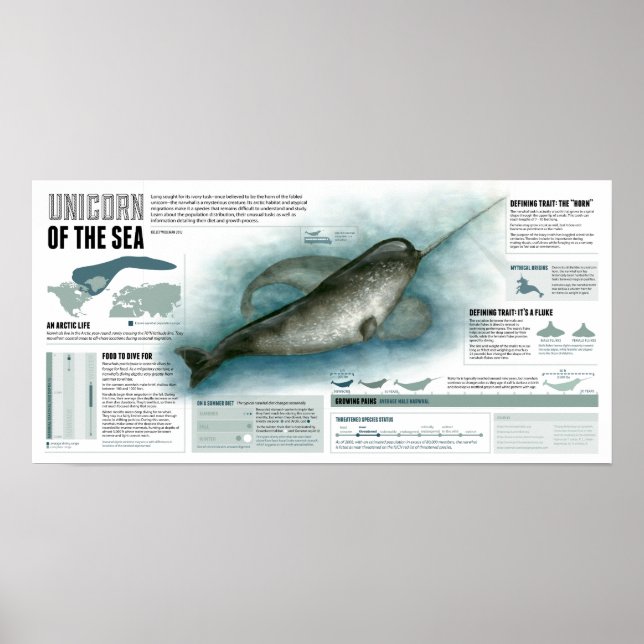 Unicorn of the Sea Poster (Framsidan)