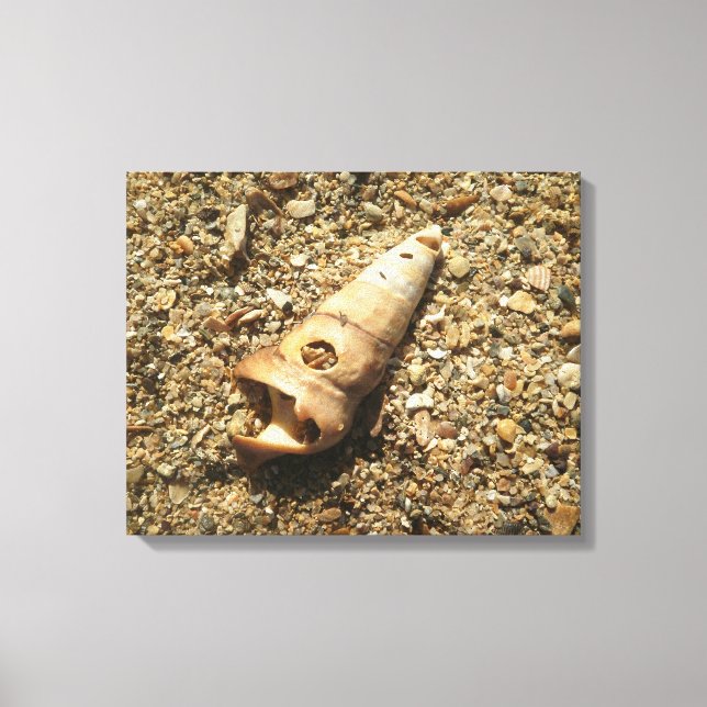 Unicorn Snäcka på Beach Canvastryck (Framsida)