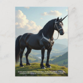 Unicorn Vykort