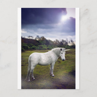 UNICORN VYKORT