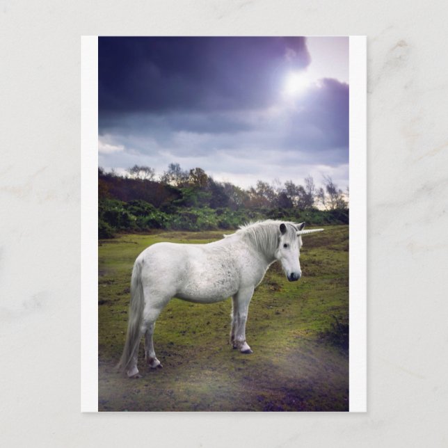 UNICORN VYKORT (Framsida)