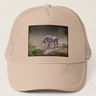 Unicornmåne Keps