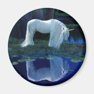 Unicornreflexion Magnet