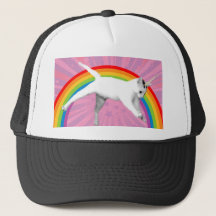 Unicornregnbågekatt