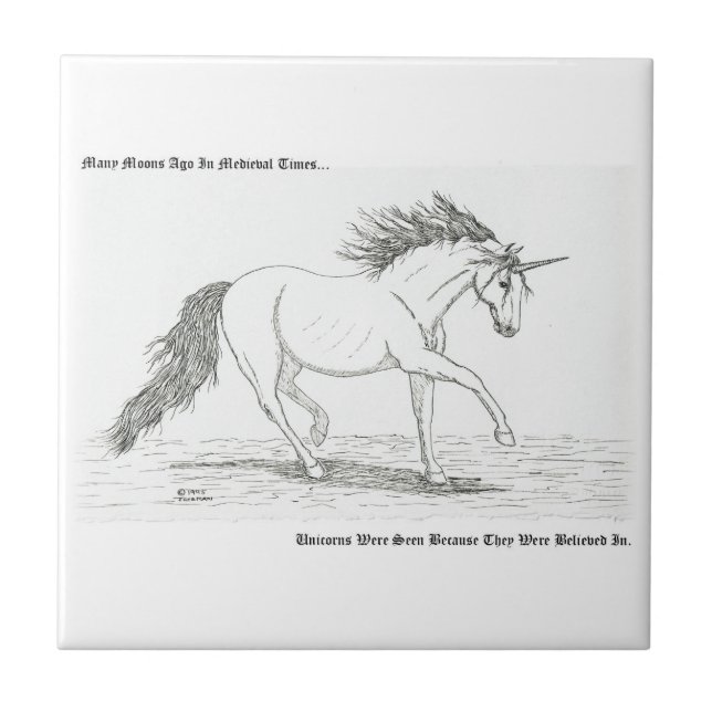 Unicorns är verkliga kakelplatta (Framsidan)
