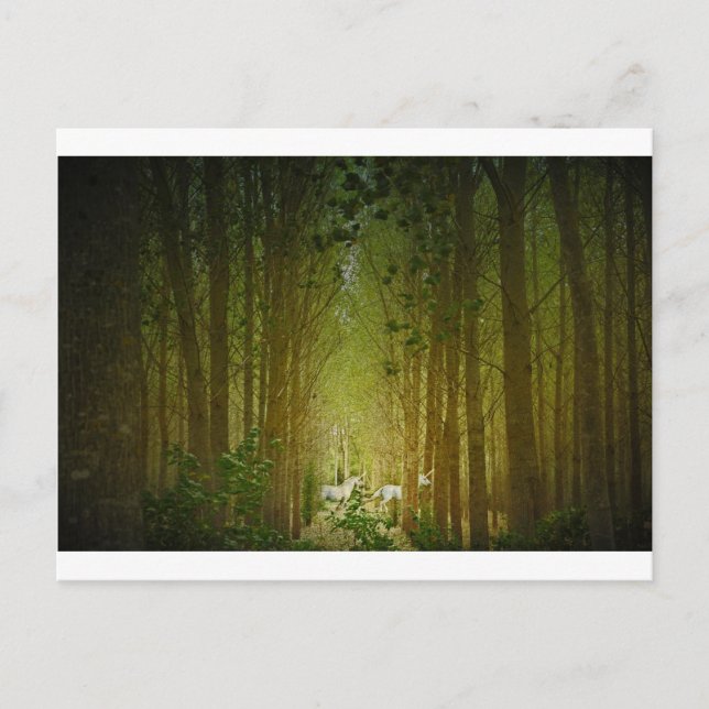 Unicorns Vykort (Framsida)