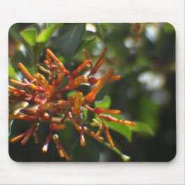 Unik anläggning för Orange på en Mousepad Musmatta