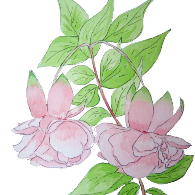 Unik blommigt bild för blommor från söt rosa kaffemugg (Skapare uppladdad)