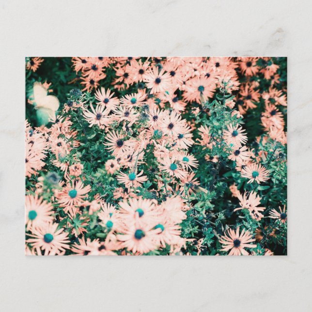 Unik Färg för Wildblommor Vykort (Framsida)