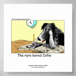 Unik, funny Gräns Collie Poster