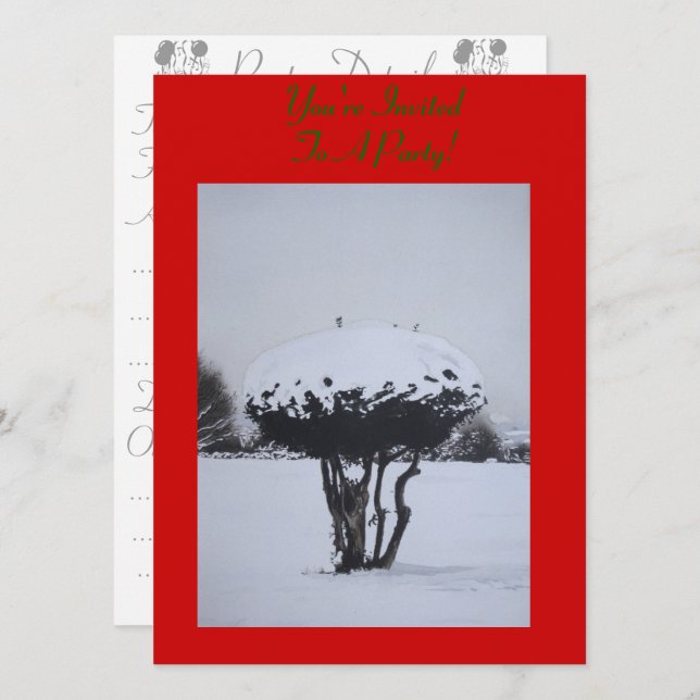 Unik julklapp i snö inbjudningar (Fram/baksida)