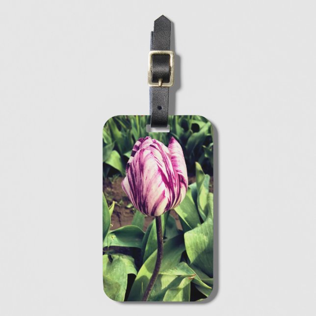 Unik Lila och vit Rand Tulip Bagagebricka (Framsida vertikal)