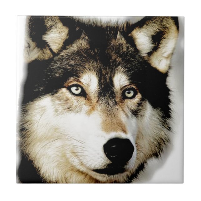 Unik Motiv Varg Kakelplatta (Framsidan)