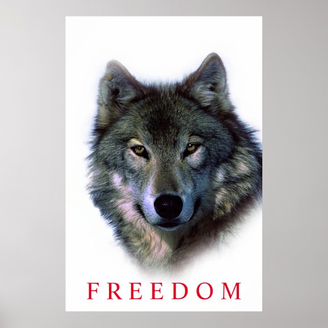 Unik motiverande frihet varg dörr poster (Framsidan)