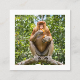 Unik Nasenape Sticker från Borneos Vilda Liv Fyrkantigt Visitkort