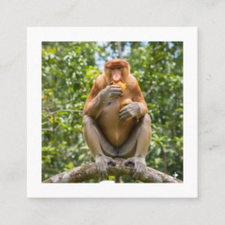 Unik Nasenape Sticker från Borneos Vilda Liv Fyrkantigt Visitkort