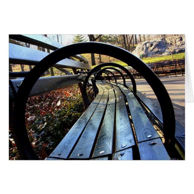 Unik Park Bench in Central Park, NYC OBS Kort (Framsidan Horizontal)