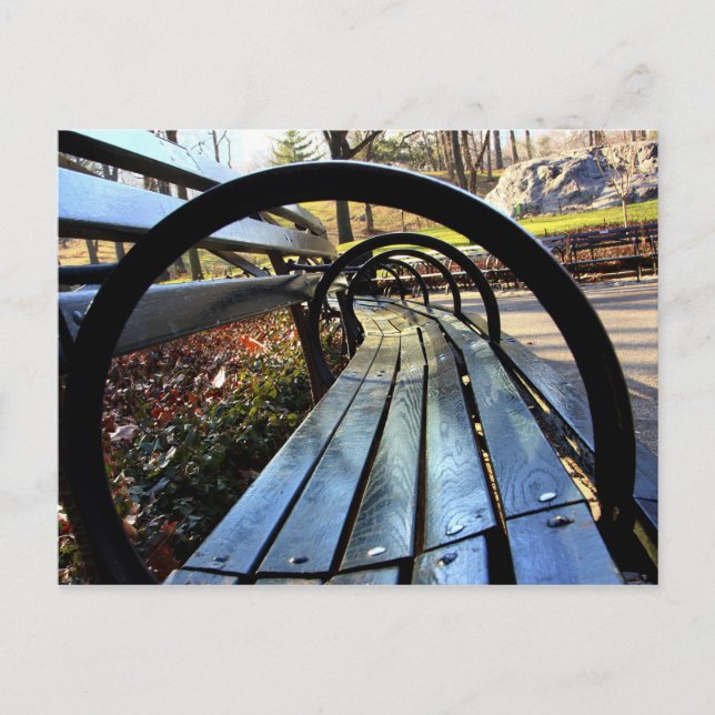 Unik Park Bench in Central Park, NYC Vykort (Framsida)