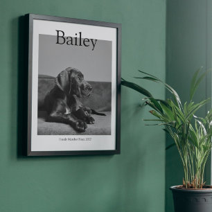 Unik Pet Porträtt Magazine Anpassningsbar Photo Poster
