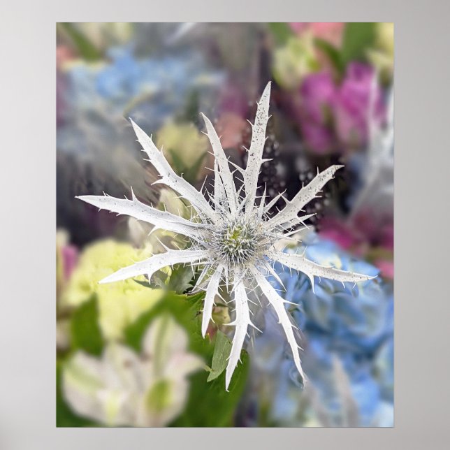 Unik Poster blomma (Framsidan)