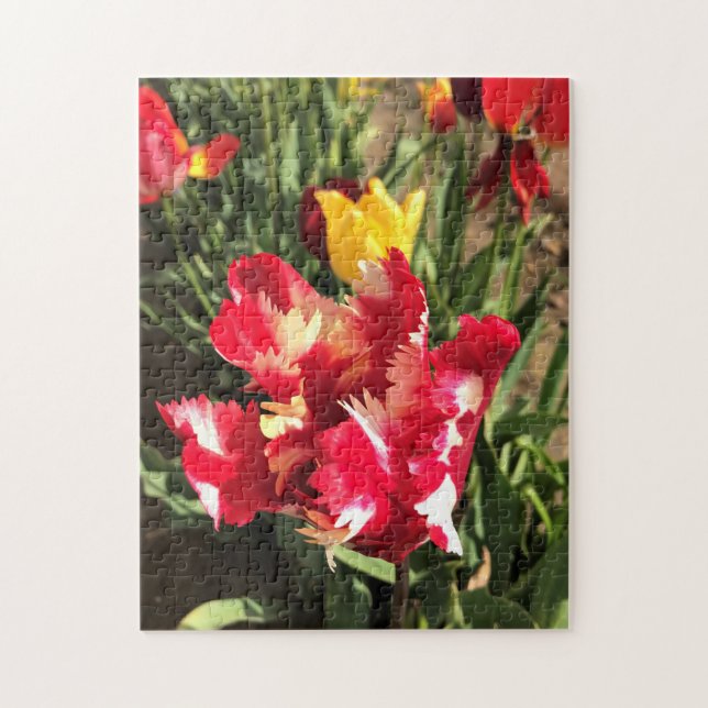 Unik röd och vit tulp pussel (Vertikal)