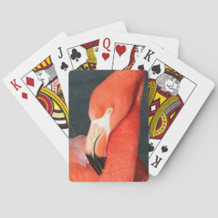 Unik rosa Flamingo som leker kortdäcket Spel Kort