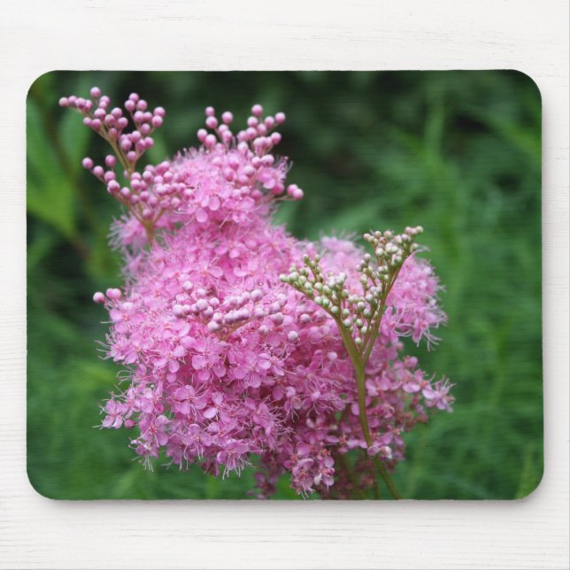 Unik rosablomma Mousepad Musmatta (Framsidan)