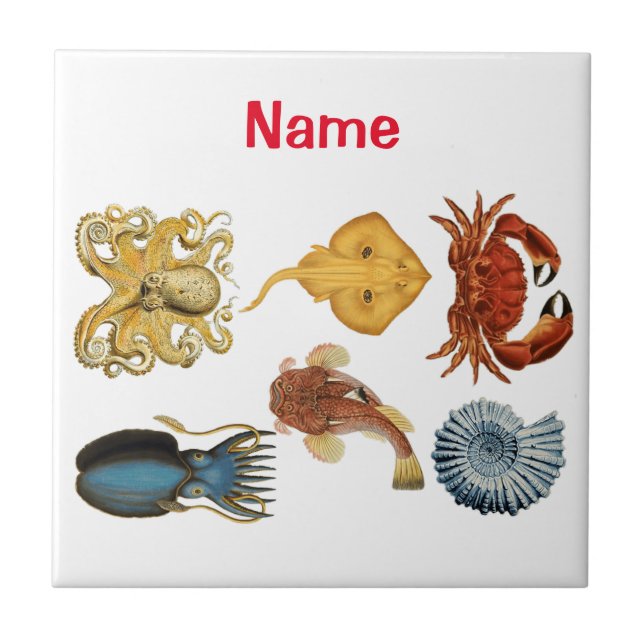 Unik Sea Beings-sortering Thunder_Cove Kakelplatta (Framsidan)