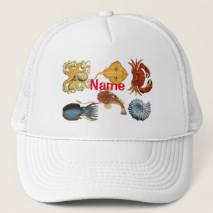 Unik Sea Beings-sortering Thunder_Cove Keps