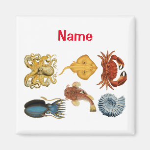 Unik Sea Beings-sortering Thunder_Cove Magnet