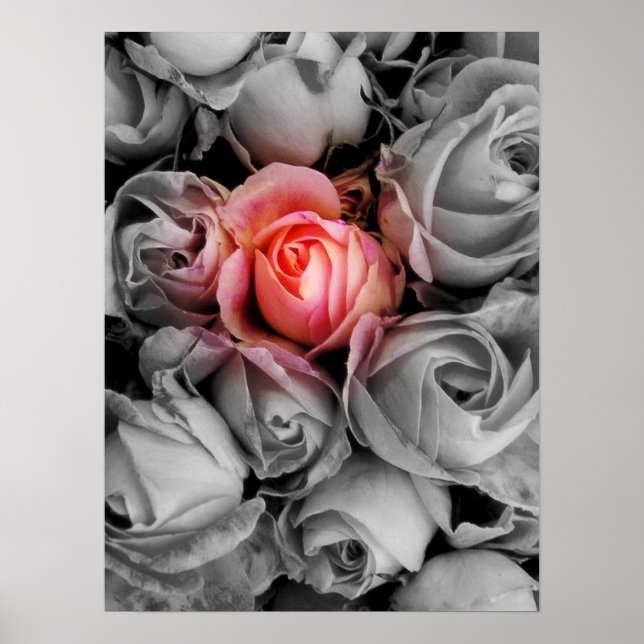 Unik skönhet poster (Framsidan)