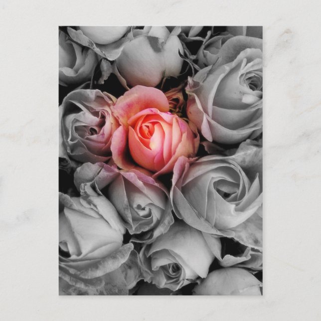 Unik skönhet vykort (Framsida)