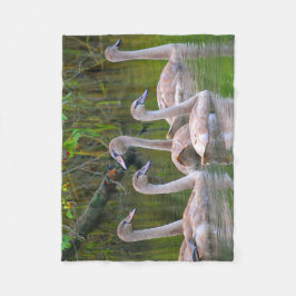 Unik Svan Fleecefilt