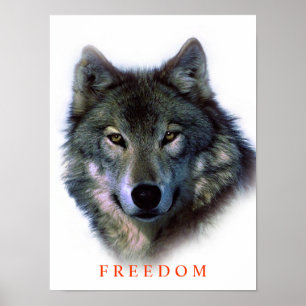 Unik Varg för rörelsefrihet Poster