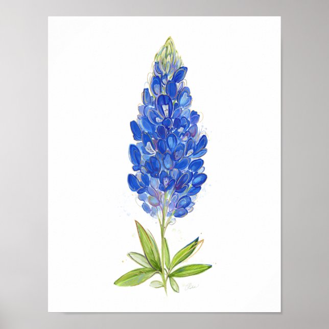 Unik vattenfärg Texas Bluebonnet Art Poster (Framsidan)