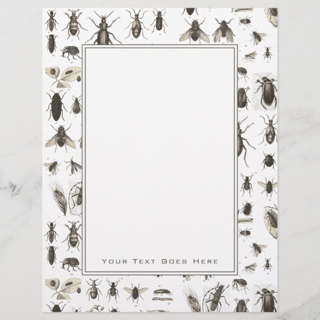 Unik Vintage Kryp och Insekt Mönster (Framsida)