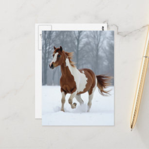 Unik vinter Paint Horse Vykort